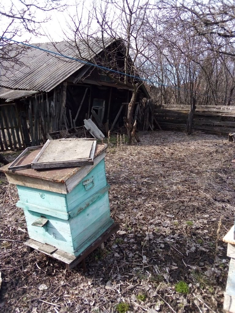 Погода валуйчик белгородская область. Село Валуйчик. Красногвардейский. Район. Село. Валуйчик.. Село Валуйчик Белгородская область. Валуйчик Красногвардейский район Белгородская область.